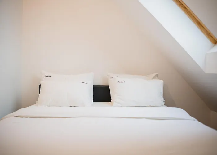 Promenada 公寓 兹拉蒂博尔